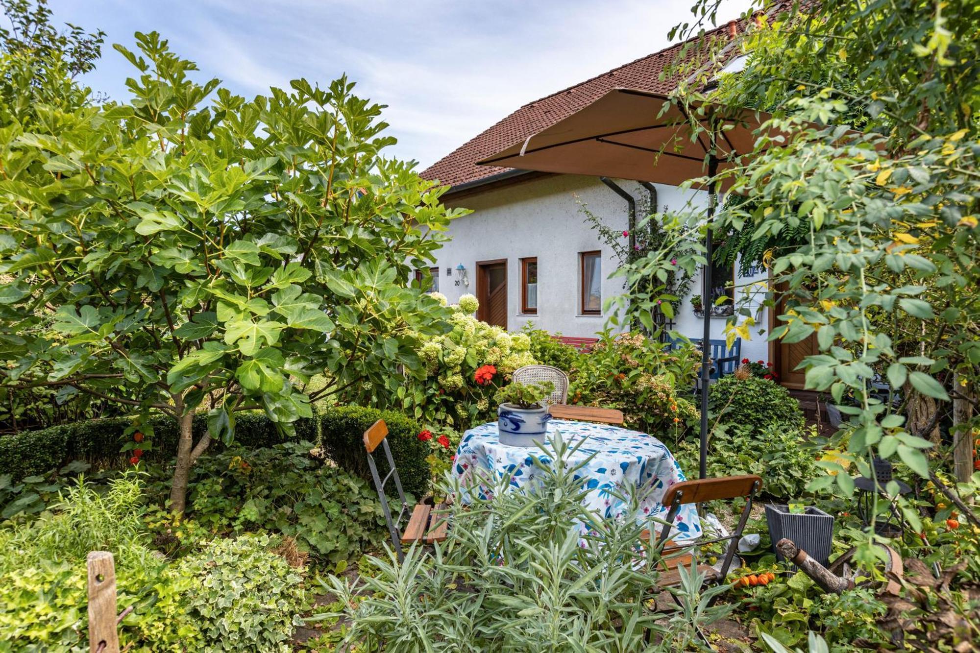 Ferienwohnung Alina Singen Esterno foto